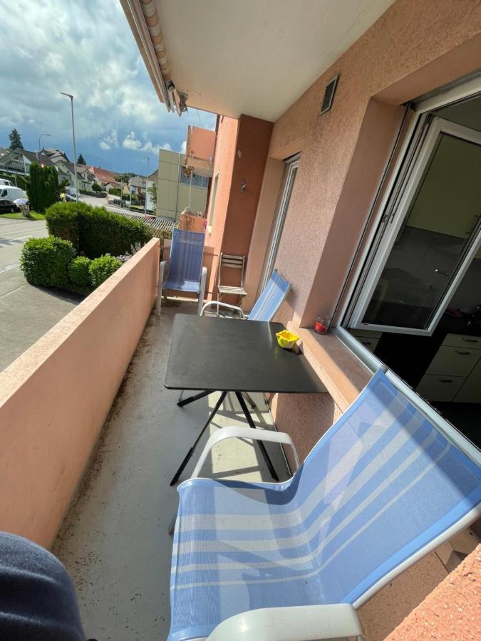 3-Room Apartment For Business Travelers & Families, Free Wifi & Tv With 70 Countries, Dazn, Sky, Netflix & Disney Wynau Exteriör bild