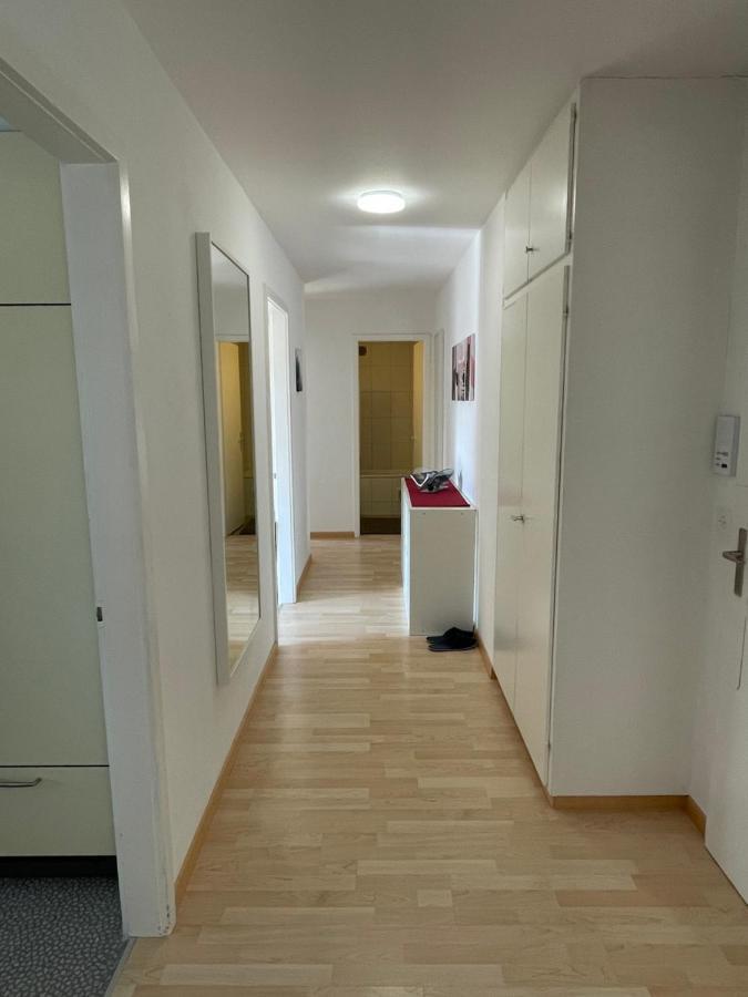 3-Room Apartment For Business Travelers & Families, Free Wifi & Tv With 70 Countries, Dazn, Sky, Netflix & Disney Wynau Exteriör bild