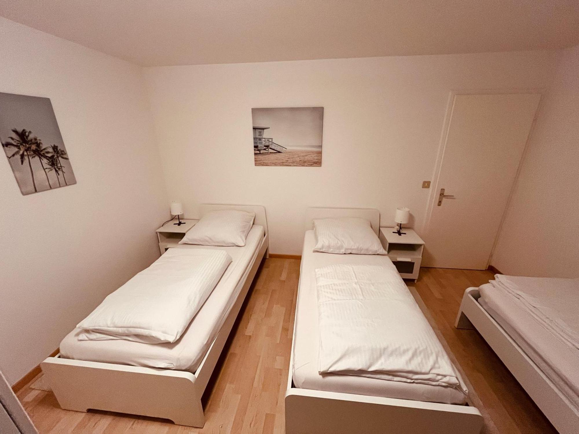 3-Room Apartment For Business Travelers & Families, Free Wifi & Tv With 70 Countries, Dazn, Sky, Netflix & Disney Wynau Exteriör bild