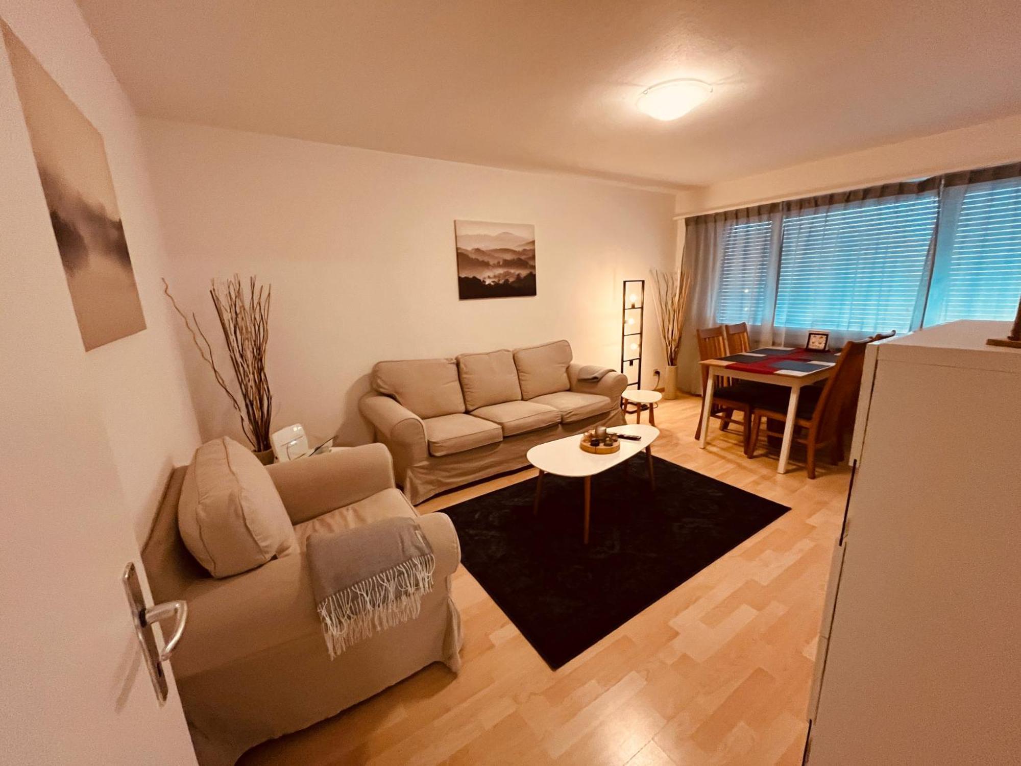 3-Room Apartment For Business Travelers & Families, Free Wifi & Tv With 70 Countries, Dazn, Sky, Netflix & Disney Wynau Exteriör bild