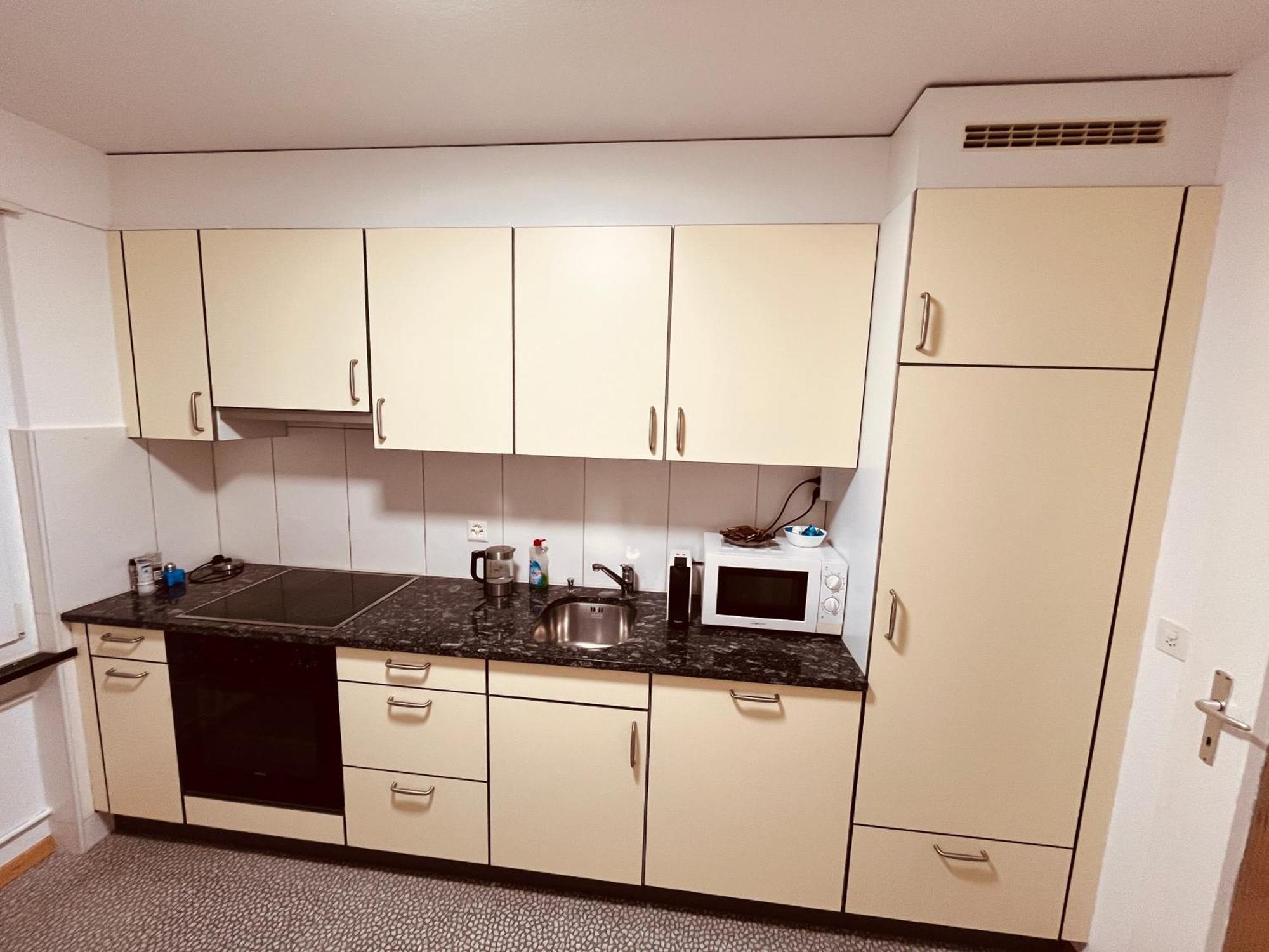3-Room Apartment For Business Travelers & Families, Free Wifi & Tv With 70 Countries, Dazn, Sky, Netflix & Disney Wynau Exteriör bild